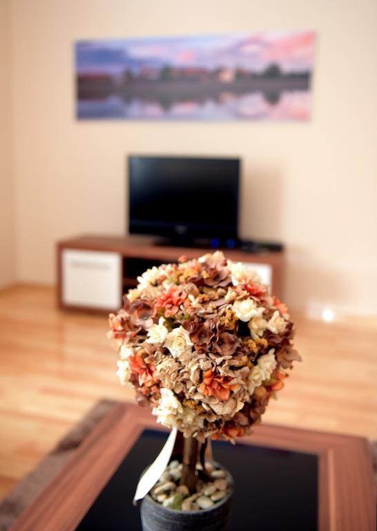 Apartman Cesaric 奥西耶克 外观 照片